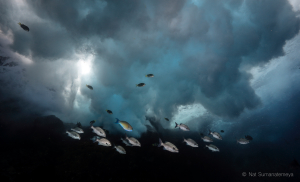 Nat Sumanatemeya_hero