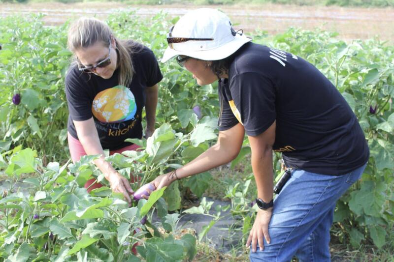 Resilience Program Plow to Plate