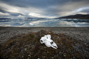 sebastian-copeland__mg_0781-copy