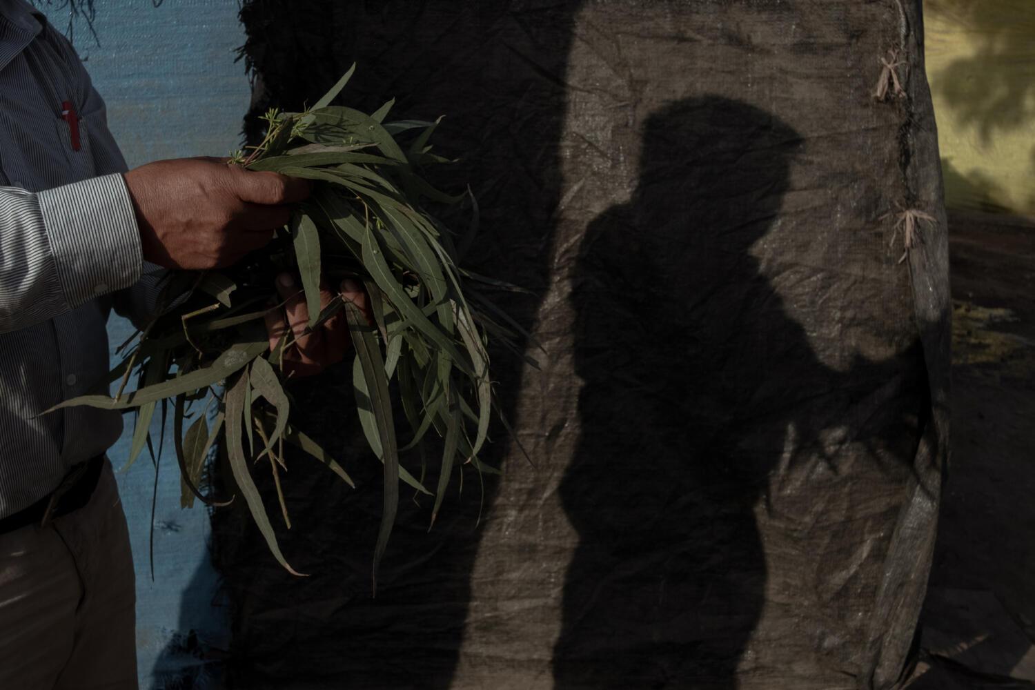 Florence Goupil / Lima, Peru