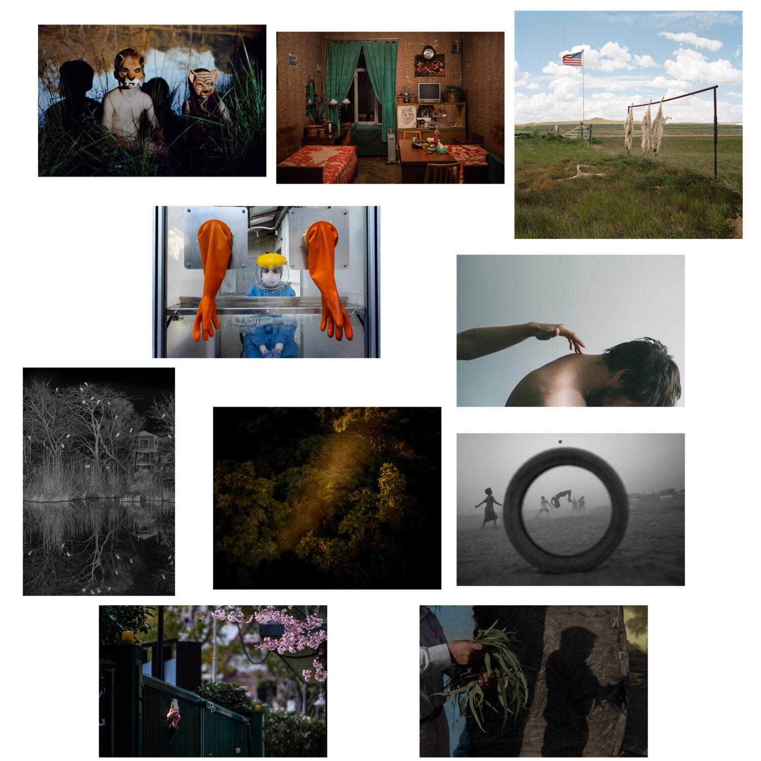 Documentary Category