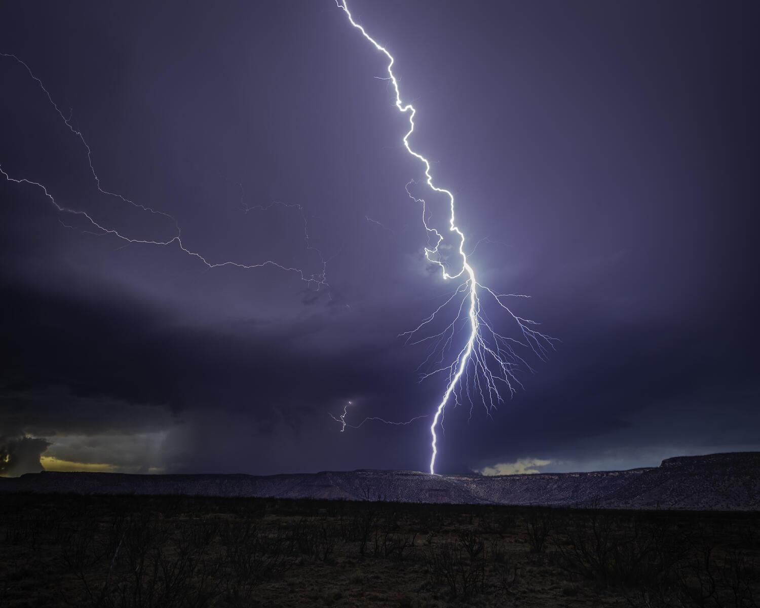 Laura Hedien / Grayslake, IL USA