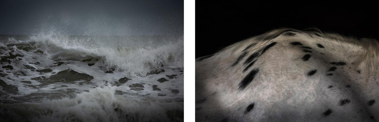 Mieke Douglas / London, UK