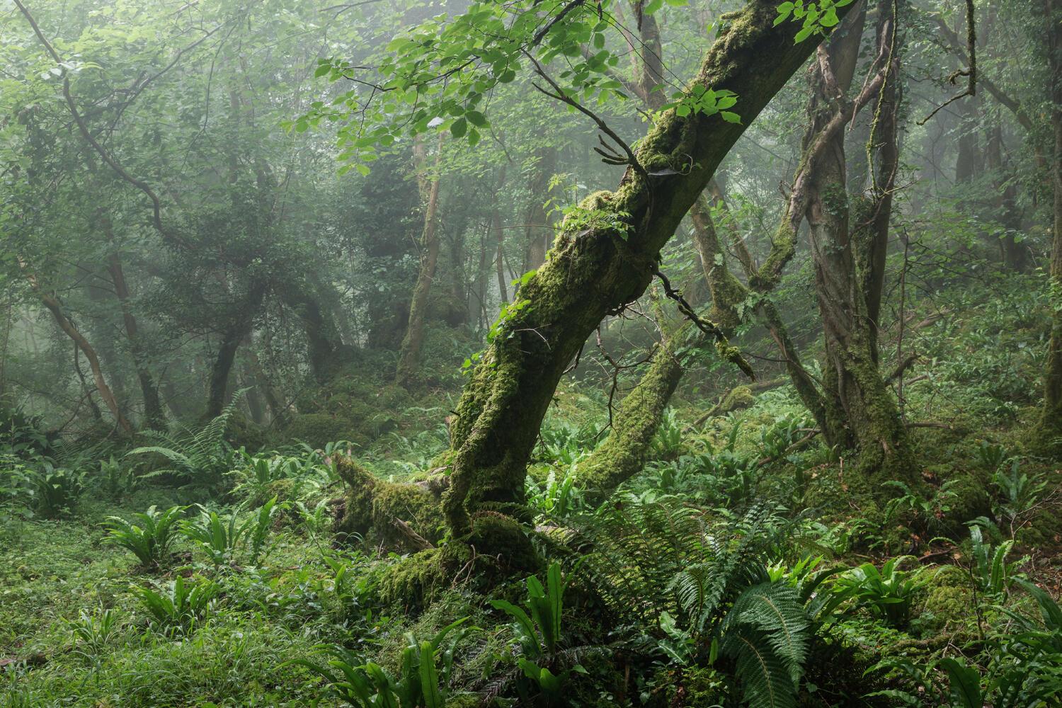 Mark Benham / Bath, UK