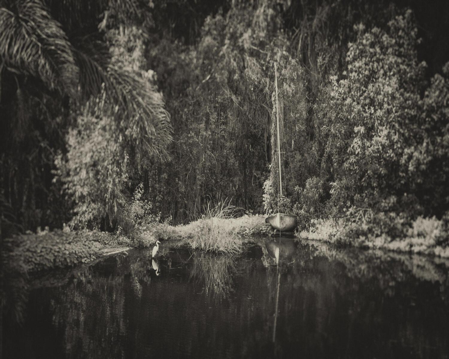 Sharon Harkness / Santa Barbara, CA USA